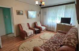 Apartament 2 camere, 54mp, pet friendly, zona Institut