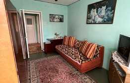 Apartament 2 camere, 54mp, pet friendly, zona Institut