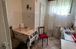 Apartament 2 camere, 54mp, pet friendly, zona Institut