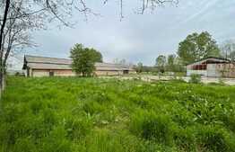 Oportunitate! Teren intravilan 3 hectare, Bals