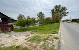 Oportunitate! Teren intravilan 3 hectare, Bals