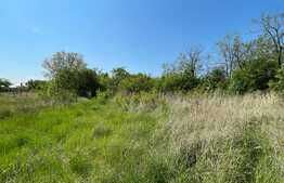 Teren intravilan 2300 mp, Cosoveni