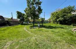 Teren intravilan 2300 mp, Cosoveni