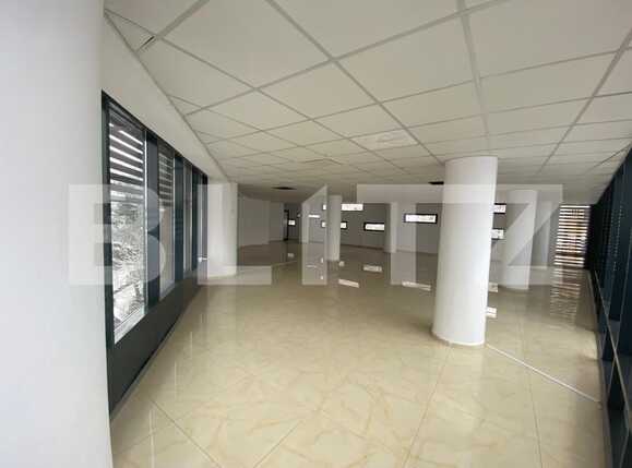 Spațiu birouri de închiriat Central - 85853SIB | BLITZ Craiova | Poza1