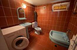 Garsoniera la casa, 25 mp, curte, Valea Rosie