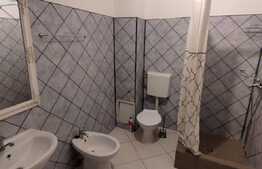 Apartament pe 2 niveluri, 2 camere, 80 mp, zona Ultracentrala