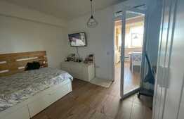 Oportunitate! Garsoniera mobilata si utilata, 28 mp, zona Brazda lui Novac