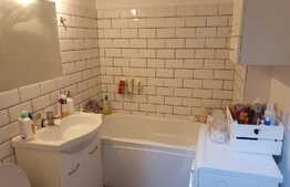 Oportunitate! Garsoniera mobilata si utilata, 28 mp, zona Brazda lui Novac