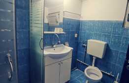 Casa pe parter, renovata, 56 mp utili, la doua minute de parcul Romanescu!