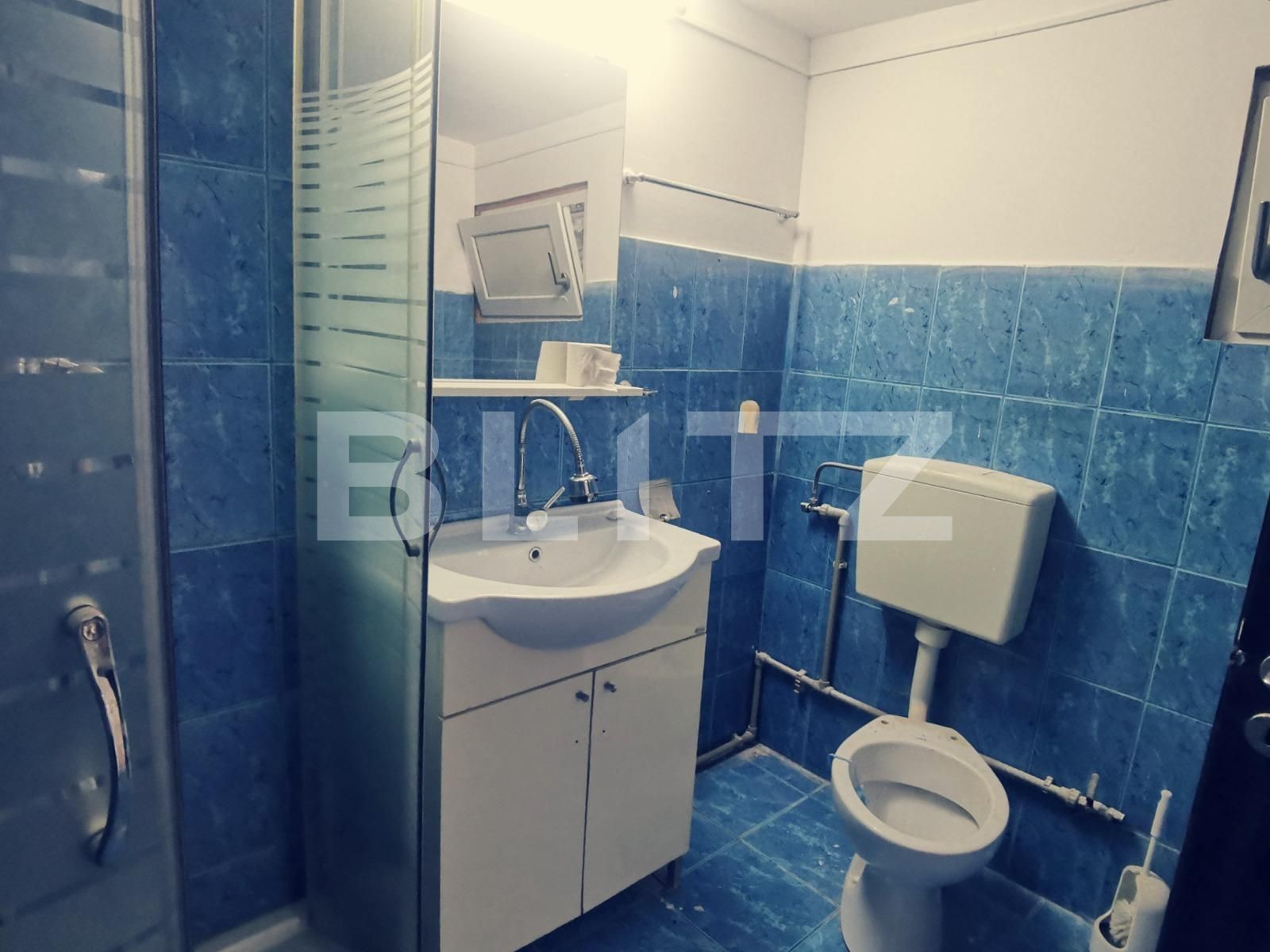 Casa de vânzare 2 camere Valea Rosie - 86076CV | BLITZ Craiova | Poza8