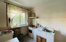 Apartament de 4 camere, 81 mp, in 