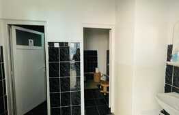 Spatiu de Birouri, 340 mp, Calea Severinului