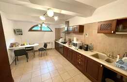 Casa D+P+M, 260 mp utili, 500 mp teren, zona Agronomie