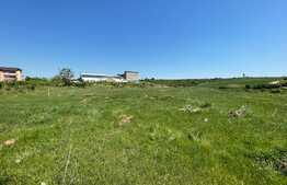 Teren Intravilan 3800 mp, zona OMV Hanul doctorului