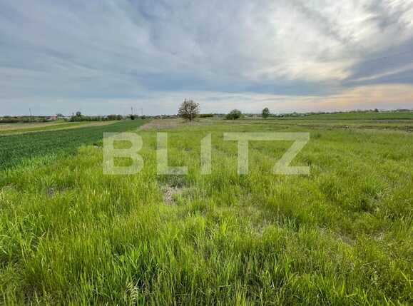 Teren de vânzare Periferie - 86604TV | BLITZ Craiova | Poza1