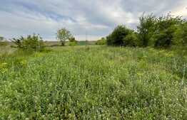 Parcela teren intravilan 800 mp, Pielesti