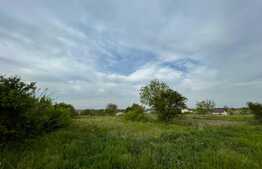 Parcela teren intravilan 800 mp, Pielesti