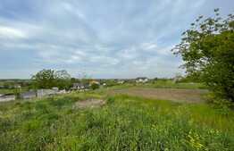 Parcela teren intravilan 800 mp, Pielesti