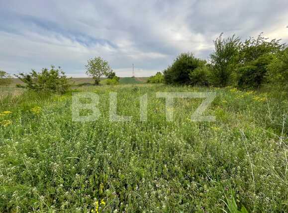 Teren de vânzare Nord-Est - 86609TV | BLITZ Craiova | Poza3