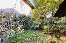 Casa cu 4 camere, 78 mp, teren 280 mp, zona Lascar Catargiu