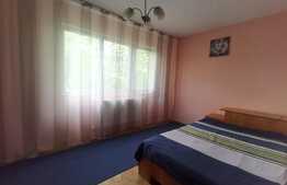 Apartament de 2 camere, 51 mp, etaj intermediar, Brazda lui Novac