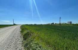 Teren 25.000 mp, intravilan arabil, zona Qfort