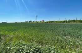 Teren 25.000 mp, intravilan arabil, zona Qfort