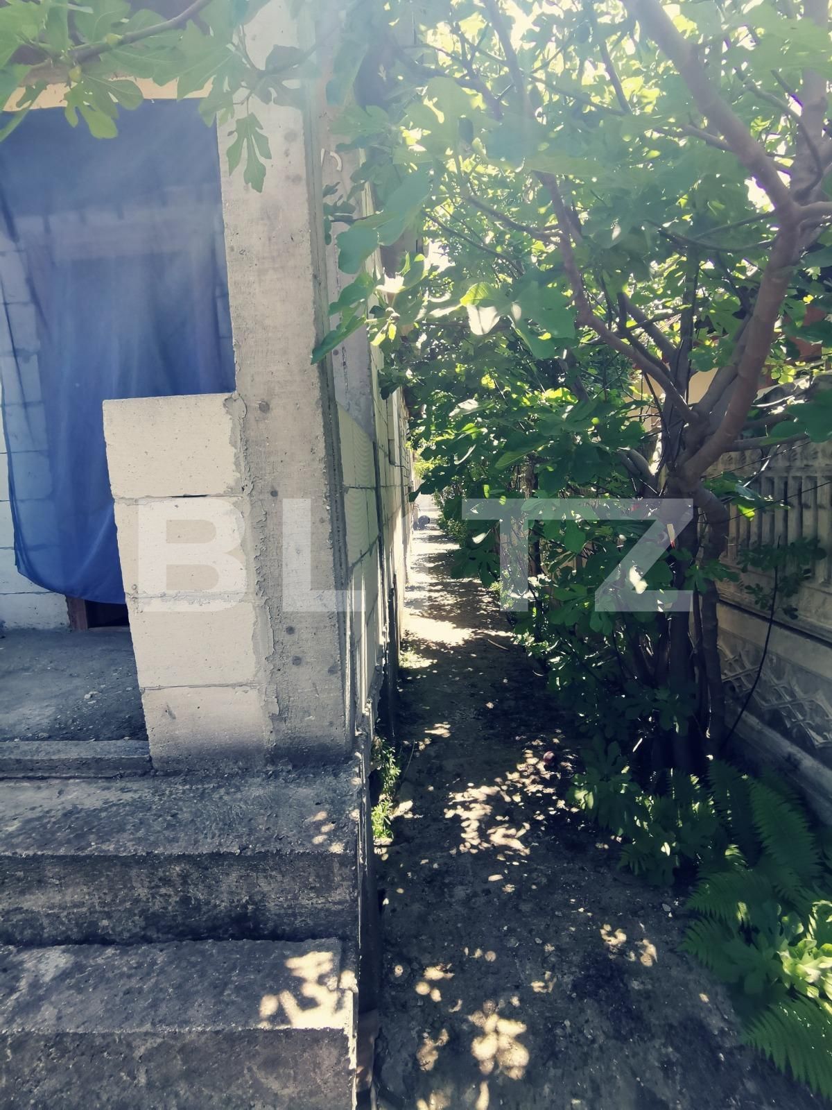 Casa de vânzare 3 camere Brestei - 86656CV | BLITZ Craiova | Poza7