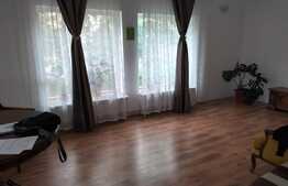 Casa D+P+M 230 mp utili, Bariera Vilcii