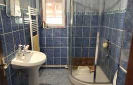 Casa D+P+M 230 mp utili, Bariera Vilcii