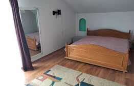 Casa D+P+M 230 mp utili, Bariera Vilcii