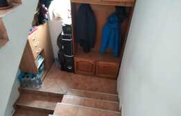 Casa D+P+M 230 mp utili, Bariera Vilcii