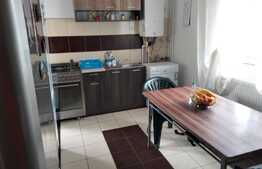 Casa D+P+M 230 mp utili, Bariera Vilcii