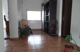 Casa D+P+M 230 mp utili, Bariera Vilcii