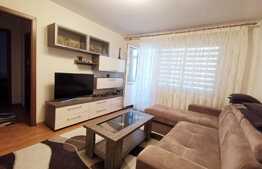 Apartament de 2 camere, 48 mp, etaj intermediar, Brazda lui Novac