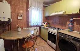Apartament de 2 camere, 48 mp, etaj intermediar, Brazda lui Novac