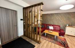 Apartament 3 camere, 100 mp, decomadat, modern/lux, zona Brazda