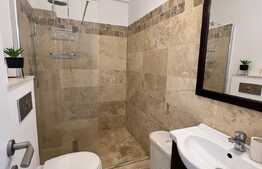 Garsoniera, 40 mp, mobilata si utilata, modern/lux, zona  brazda 