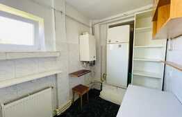 Apartament in vila de 4 camere, 80 mp, PetFriendly, Medicina Veche