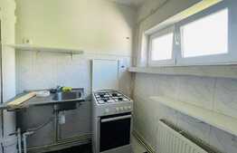 Apartament in vila de 4 camere, 80 mp, PetFriendly, Medicina Veche