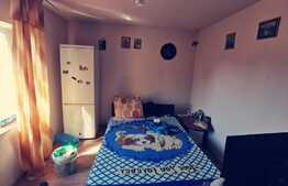 Casa P+M, 120 mp utili si teren 500 mp, cu iesire la 2 strazi, in Brestei!