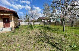 Casa individuala de 80mp, 516mp teren, Carcea