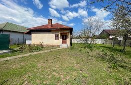 Casa individuala de 80mp, 516mp teren, Carcea