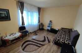 Apartament 2 camere decomandat, parter, Zona Paltinis