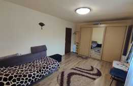 Apartament 2 camere decomandat, parter, Zona Paltinis