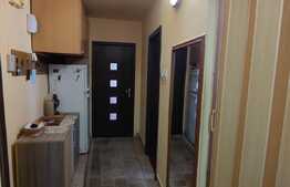 Apartament 2 camere decomandat, parter, Zona Paltinis