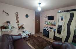 Apartament 2 camere decomandat, parter, Zona Paltinis