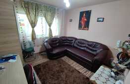 Apartament 2 camere decomandat, parter, Zona Paltinis