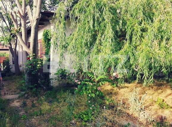 Casa de vânzare 3 camere Central - 87640CV | BLITZ Craiova | Poza9