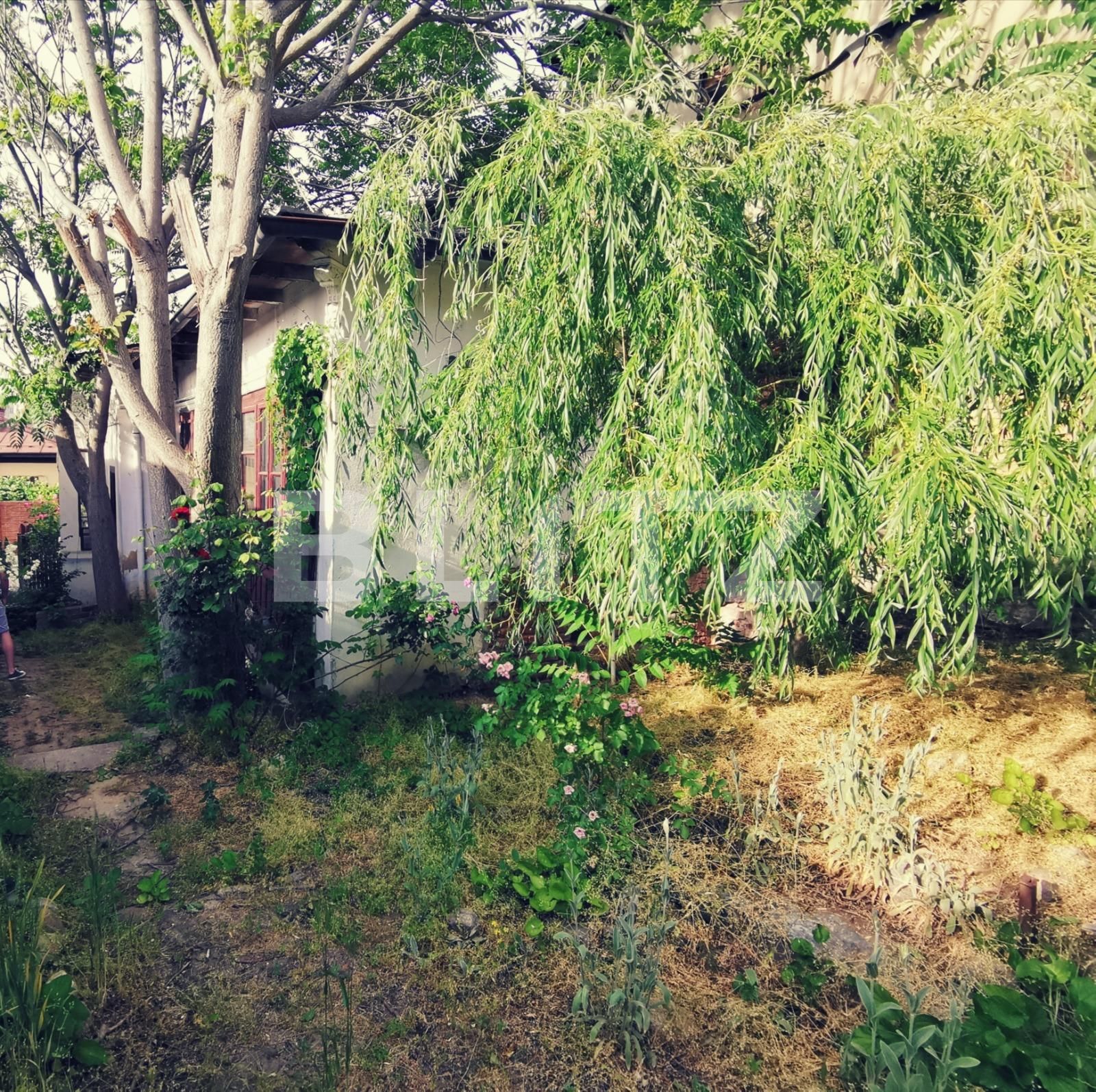 Casa de vânzare 3 camere Central - 87640CV | BLITZ Craiova | Poza9